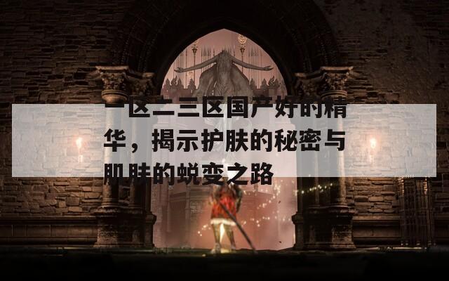 一區(qū)二三區(qū)國產(chǎn)好的精華，揭示護膚的秘密與肌膚的蛻變之路