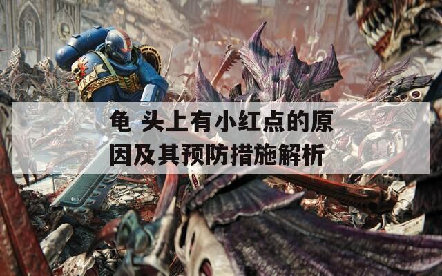 龜 頭上有小紅點的原因及其預防措施解析