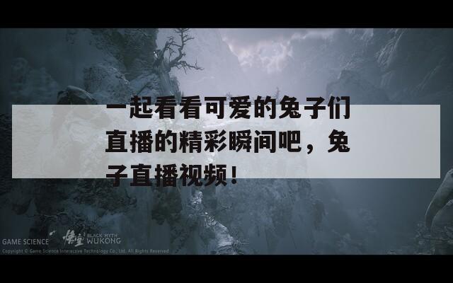 一起看看可愛的兔子們直播的精彩瞬間吧，兔子直播視頻！