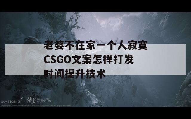 老婆不在家一個人寂寞CSGO文案怎樣打發(fā)時間提升技術