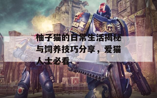 柚子貓的日常生活揭秘與飼養(yǎng)技巧分享，愛貓人士必看