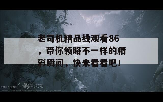 老司機(jī)精品線觀看86，帶你領(lǐng)略不一樣的精彩瞬間，快來(lái)看看吧！