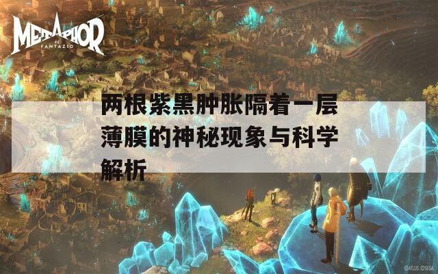 兩根紫黑腫脹隔著一層薄膜的神秘現(xiàn)象與科學(xué)解析