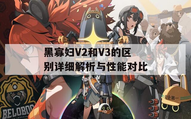 黑寡婦V2和V3的區(qū)別詳細解析與性能對比