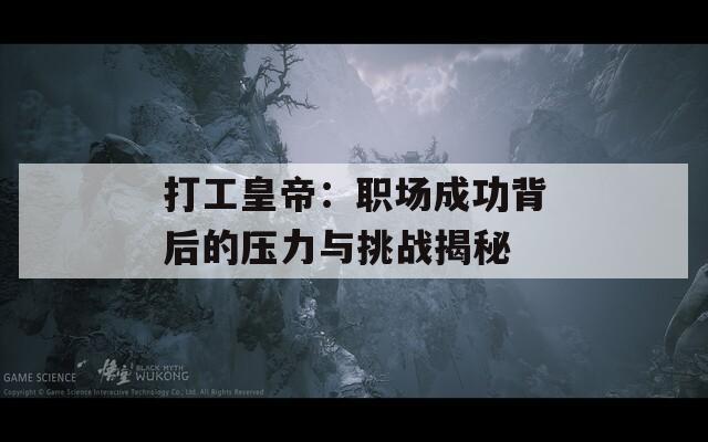 打工皇帝：職場(chǎng)成功背后的壓力與挑戰(zhàn)揭秘