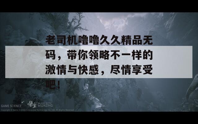 老司機(jī)嚕嚕久久精品無碼，帶你領(lǐng)略不一樣的激情與快感，盡情享受吧！