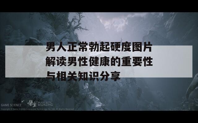 男人正常勃起硬度圖片解讀男性健康的重要性與相關(guān)知識(shí)分享