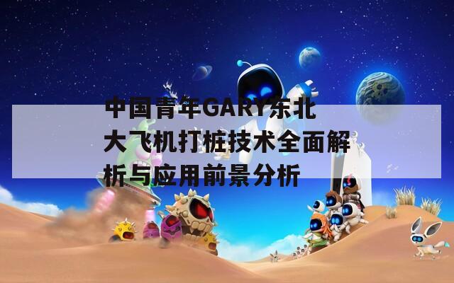 中國(guó)青年GARY東北大飛機(jī)打樁技術(shù)全面解析與應(yīng)用前景分析