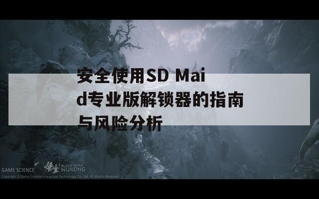 安全使用SD Maid專業(yè)版解鎖器的指南與風(fēng)險分析