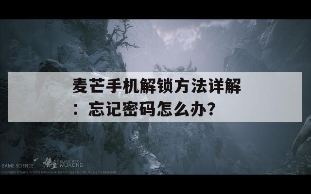 麥芒手機(jī)解鎖方法詳解：忘記密碼怎么辦？