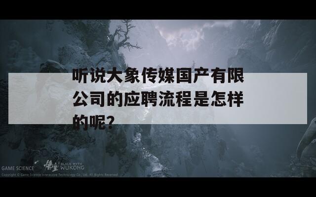 聽說大象傳媒國產(chǎn)有限公司的應(yīng)聘流程是怎樣的呢？