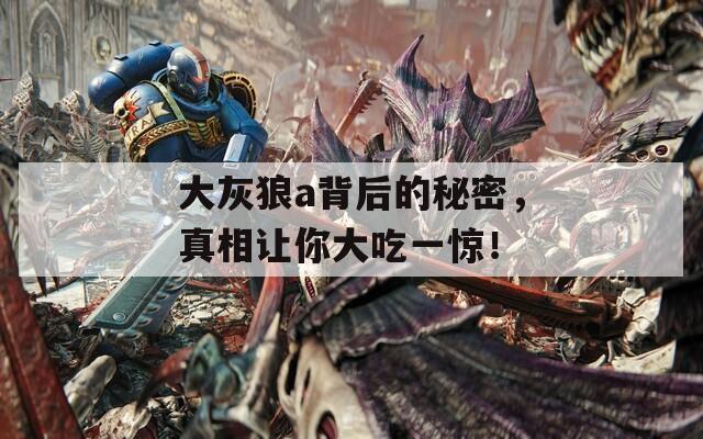 大灰狼a背后的秘密，真相讓你大吃一驚！
