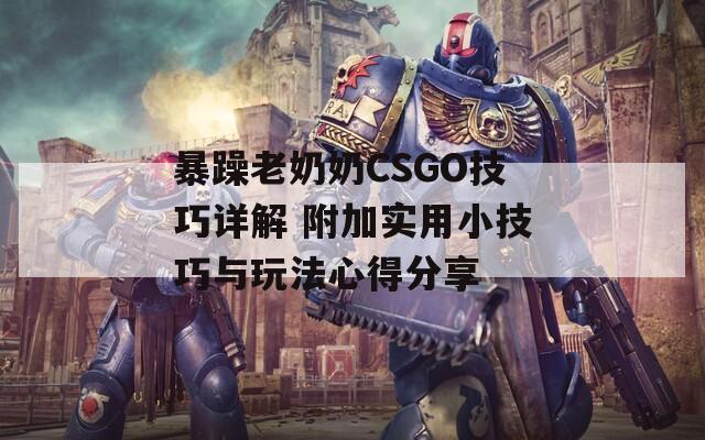 暴躁老奶奶CSGO技巧詳解 附加實(shí)用小技巧與玩法心得分享