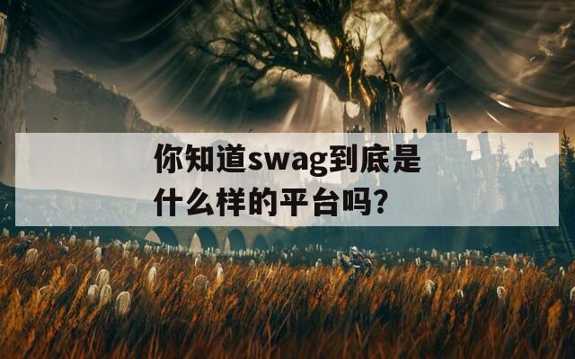 你知道swag到底是什么樣的平臺嗎？