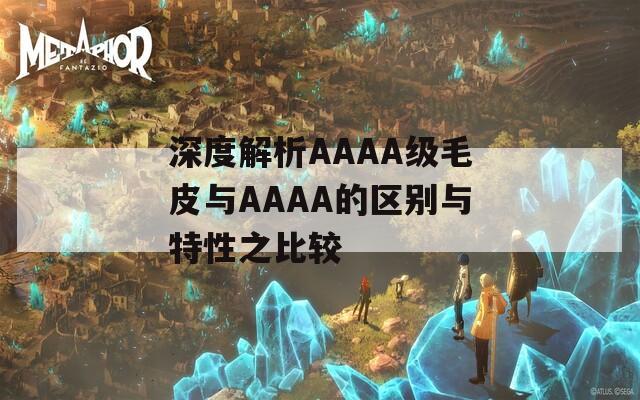 深度解析AAAA級毛皮與AAAA的區(qū)別與特性之比較
