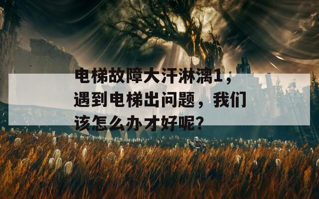 電梯故障大汗淋漓1，遇到電梯出問題，我們?cè)撛趺崔k才好呢？