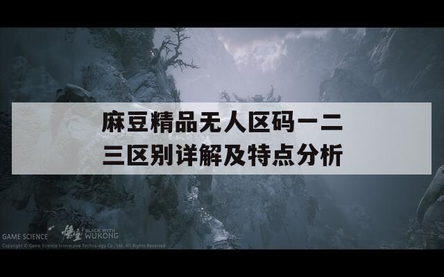 麻豆精品無(wú)人區(qū)碼一二三區(qū)別詳解及特點(diǎn)分析