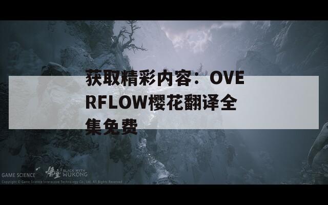 獲取精彩內(nèi)容：OVERFLOW櫻花翻譯全集免費