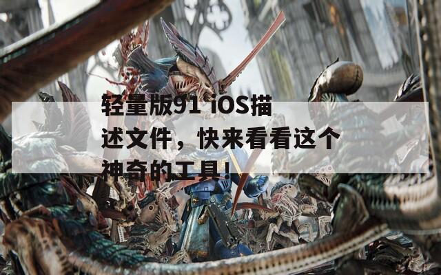 輕量版91 iOS描述文件，快來看看這個神奇的工具！
