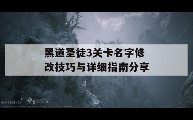 黑道圣徒3關(guān)卡名字修改技巧與詳細(xì)指南分享
