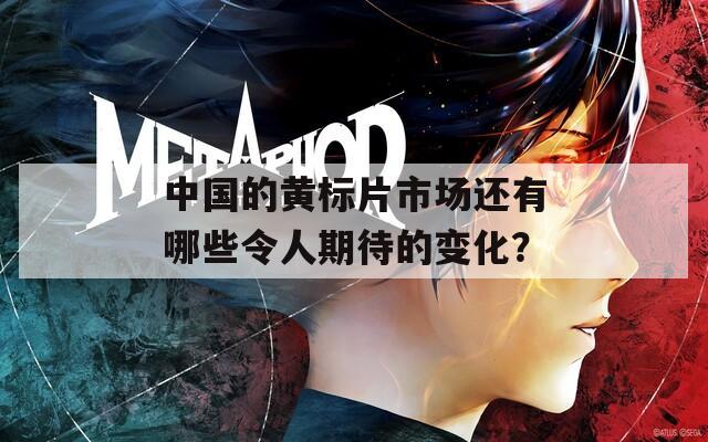 中國(guó)的黃標(biāo)片市場(chǎng)還有哪些令人期待的變化？