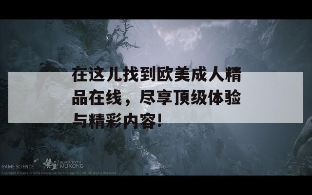 在這兒找到歐美成人精品在線，盡享頂級體驗與精彩內容!