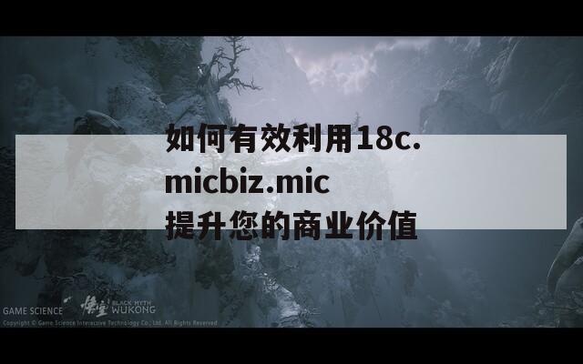 如何有效利用18c.micbiz.mic提升您的商業(yè)價值
