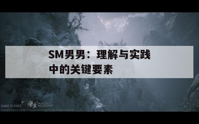 SM男男：理解與實(shí)踐中的關(guān)鍵要素