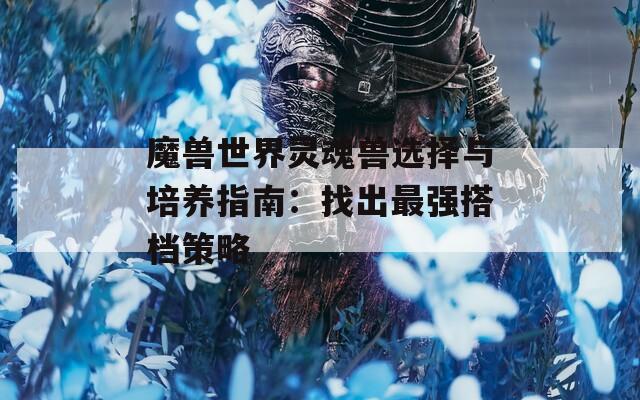 魔獸世界靈魂獸選擇與培養(yǎng)指南：找出最強(qiáng)搭檔策略