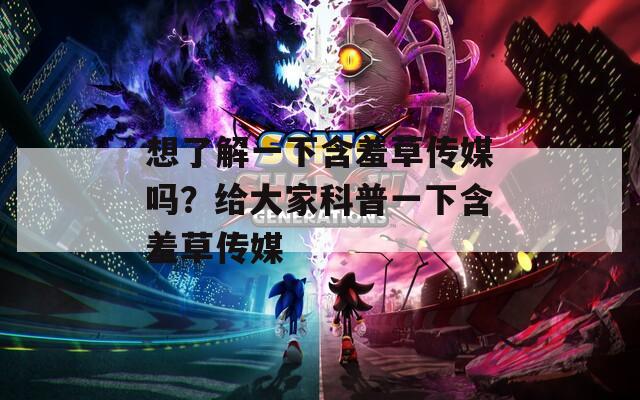 想了解一下含羞草傳媒嗎？給大家科普一下含羞草傳媒
