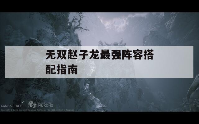 無雙趙子龍最強(qiáng)陣容搭配指南