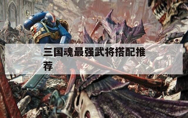 三國魂最強(qiáng)武將搭配推薦