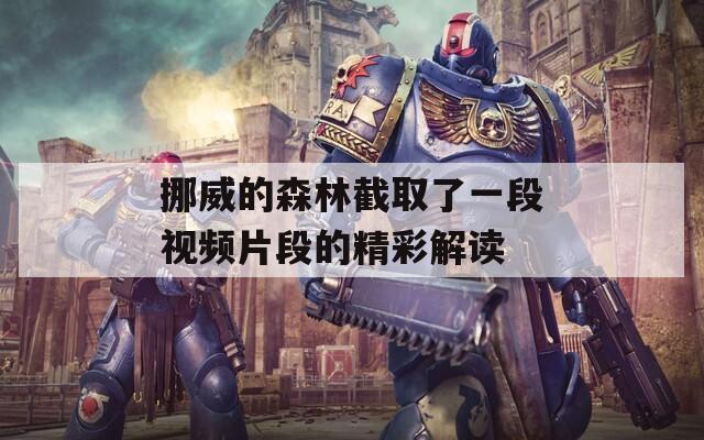 挪威的森林截取了一段視頻片段的精彩解讀