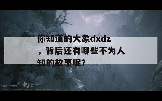 你知道的大象dxdz，背后還有哪些不為人知的故事呢？