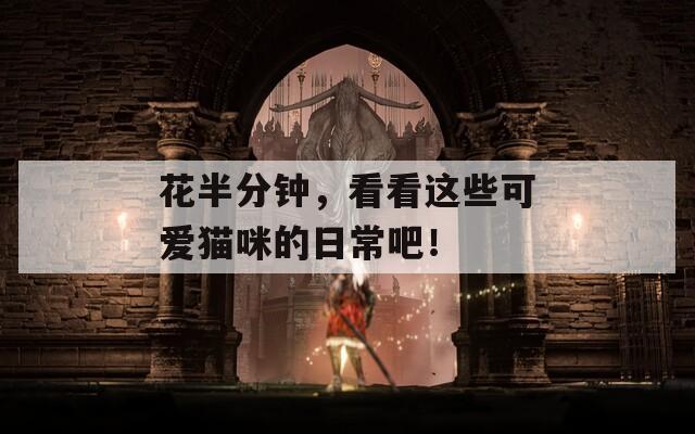 花半分鐘，看看這些可愛貓咪的日常吧！