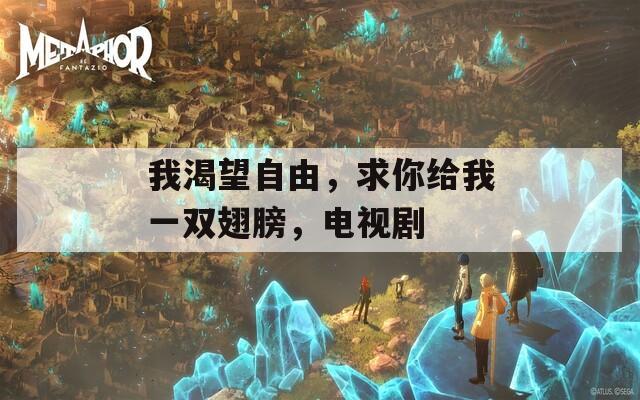 我渴望自由，求你給我一雙翅膀，電視劇