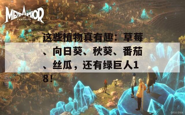 這些植物真有趣：草莓、向日葵、秋葵、番茄、絲瓜，還有綠巨人18！