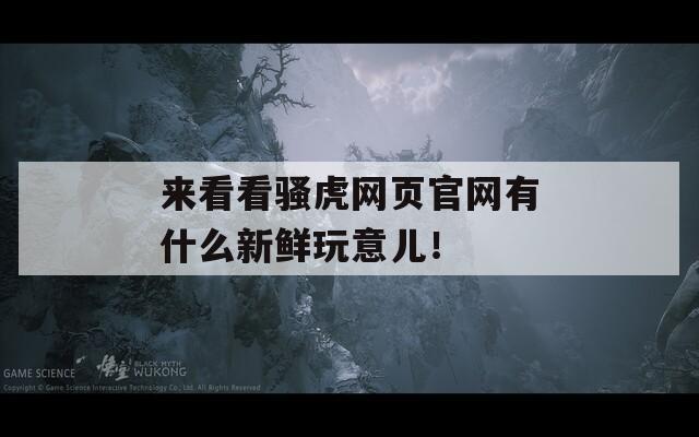 來看看騷虎網(wǎng)頁官網(wǎng)有什么新鮮玩意兒！