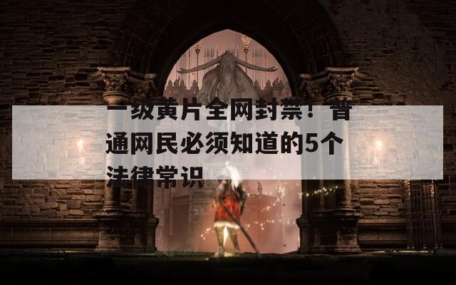 一級(jí)黃片全網(wǎng)封禁！普通網(wǎng)民必須知道的5個(gè)法律常識(shí)