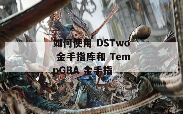如何使用 DSTwo 金手指庫和 TempGBA 金手指