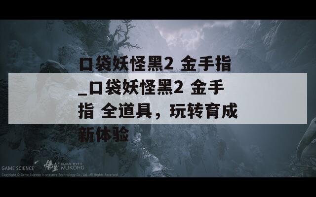 口袋妖怪黑2 金手指_口袋妖怪黑2 金手指 全道具，玩轉(zhuǎn)育成新體驗(yàn)