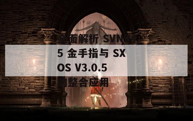 全面解析 SVN945 金手指與 SX OS V3.0.5 的整合應(yīng)用