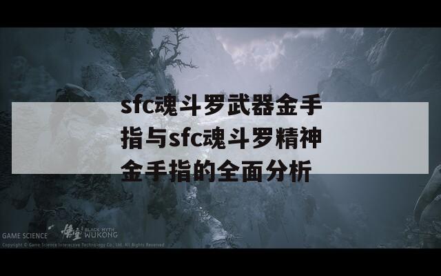 sfc魂斗羅武器金手指與sfc魂斗羅精神金手指的全面分析