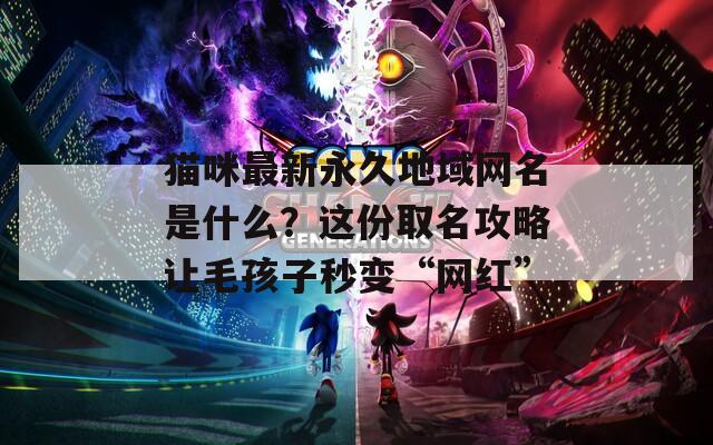 貓咪最新永久地域網(wǎng)名是什么？這份取名攻略讓毛孩子秒變“網(wǎng)紅”