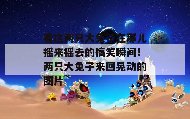 看這兩只大兔子在那兒搖來搖去的搞笑瞬間！兩只大兔子來回晃動的圖片