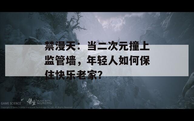 禁漫天：當二次元撞上監(jiān)管墻，年輕人如何保住快樂老家？