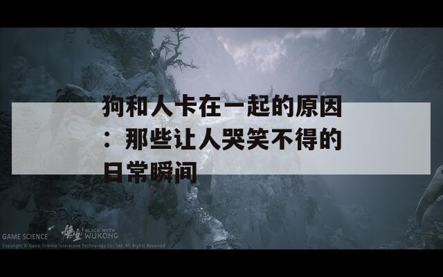 狗和人卡在一起的原因：那些讓人哭笑不得的日常瞬間