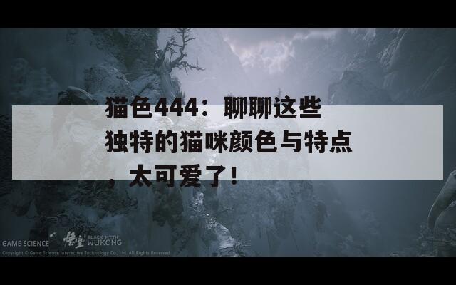 貓色444：聊聊這些獨特的貓咪顏色與特點，太可愛了！