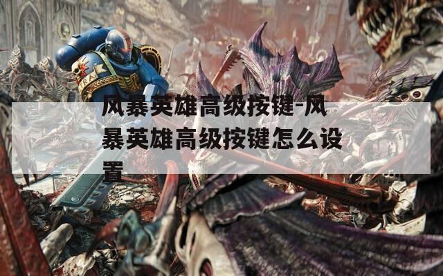 風暴英雄高級按鍵-風暴英雄高級按鍵怎么設(shè)置