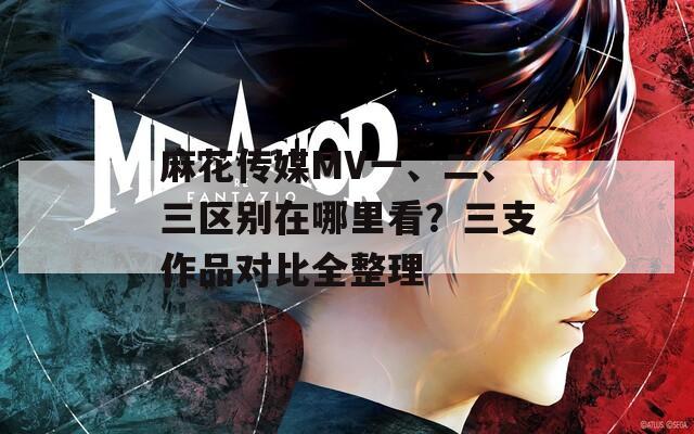 麻花傳媒MV一、二、三區(qū)別在哪里看？三支作品對(duì)比全整理